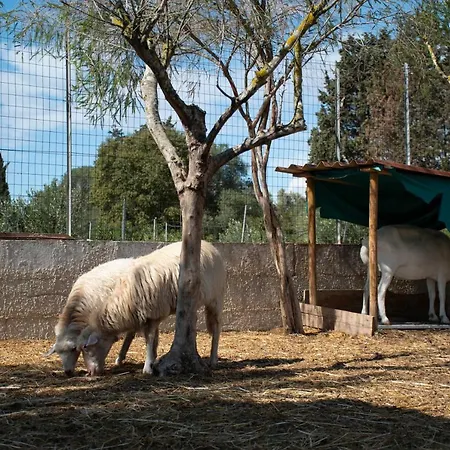 La Noria San Sperate