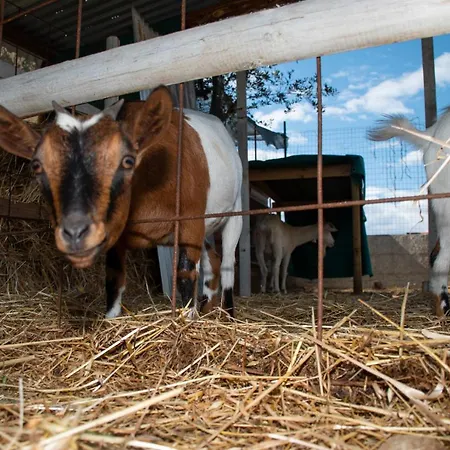 La Noria San Sperate